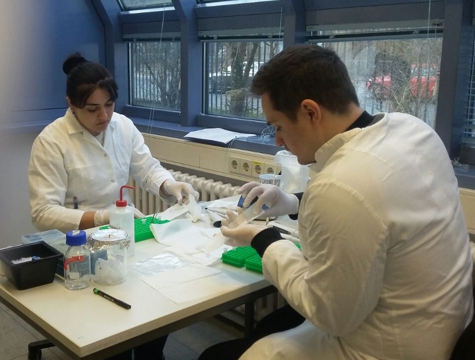 AMEA Botanika İnstitutunun doktorantı Almaniyada molekulyar sistematika üzrə təlim keçib